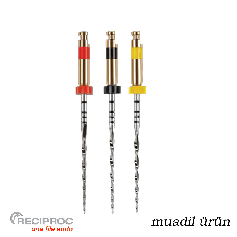 Onefile Kanal Egesi Reciproc Muadili Asorti