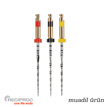 Onefile Kanal Egesi Reciproc Muadili Asorti