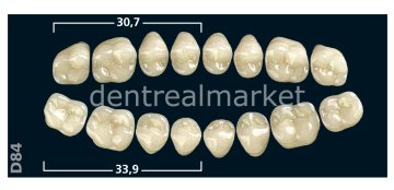 Gnathostar Posterior 8'lik Diş Lower Teeth - Bleach 4 - D84
