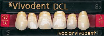 Sr Vivodent DCL Üst Anterior Diş 6'lık Bleach 4 - A11