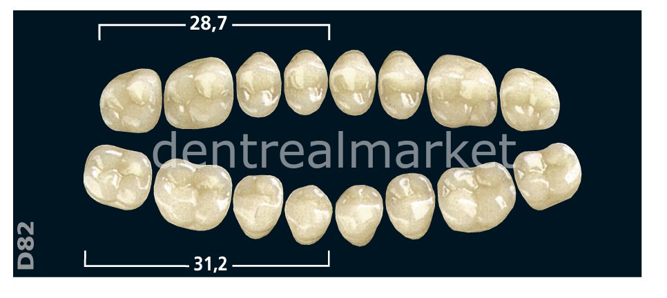 Gnathostar Posterior 8'lik Diş Upper Teeth - A1 - D82