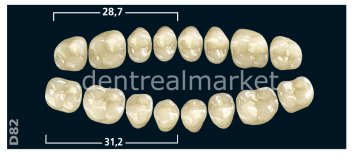 Gnathostar Posterior 8'lik Diş Upper Teeth - A1 - D82
