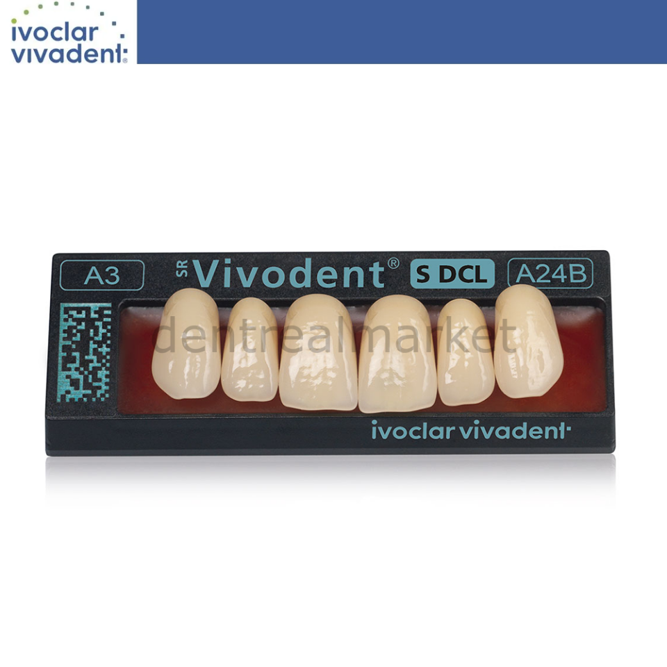 SR Vivodent S DCL Üst Anterior Dişler 6'lık