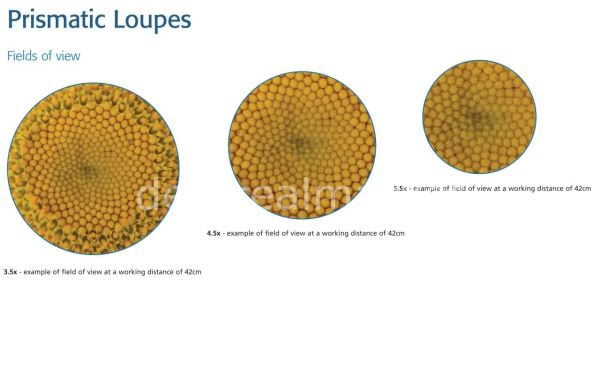 Prizmatik Loupe