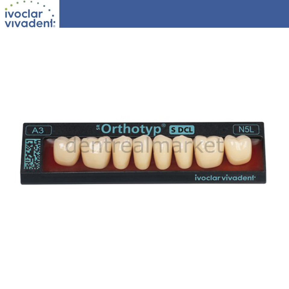 SR Orthotyp S DCL Alt Posterior Diş 8'lik