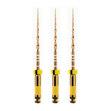 WaveOne Gold Reciproc Kanal Egesi 3'lü Blister 21 mm - Small