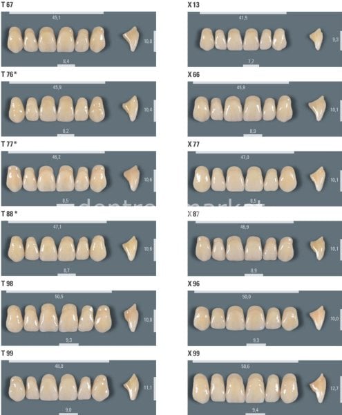 Vitapan Takım Diş 28'lik 3D Master 2M2 - Z 97