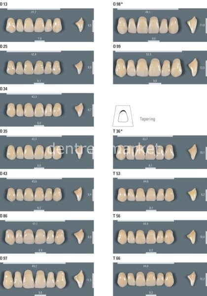 Vitapan Takım Diş 28'lik 3D Master 2M2 - Z 97