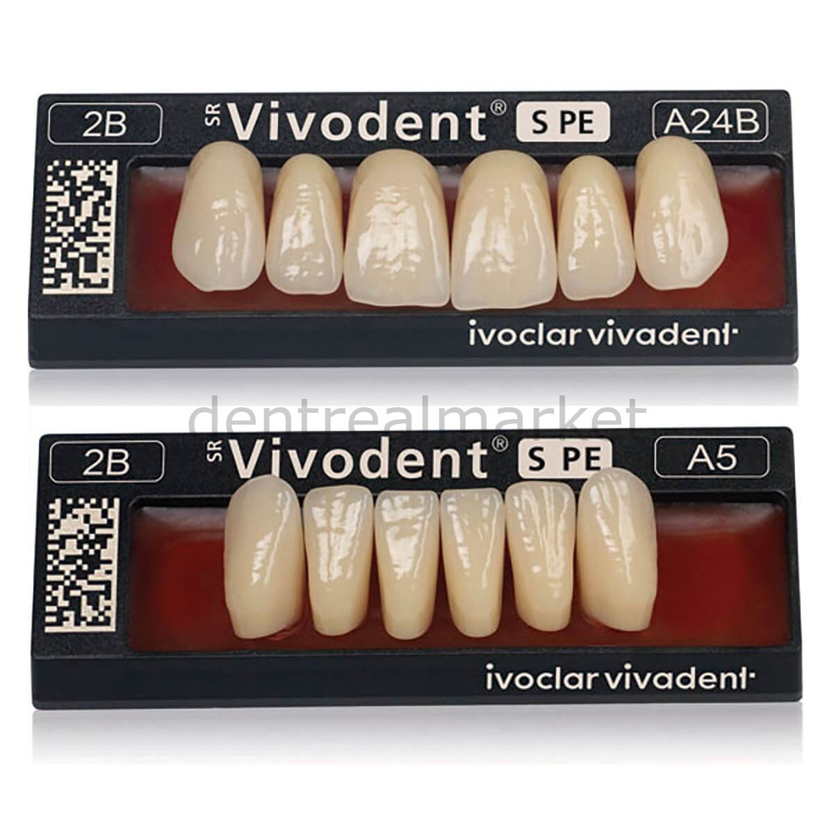 SR Vivodent S PE  - SR Orthosit S PE Takım Diş 28'lik