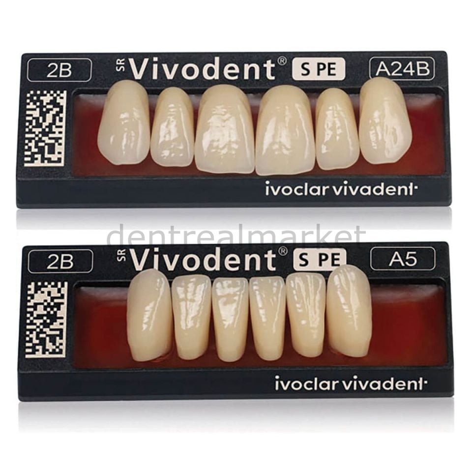 SR Vivodent S PE  - SR Orthosit S PE Takım Diş 28'lik