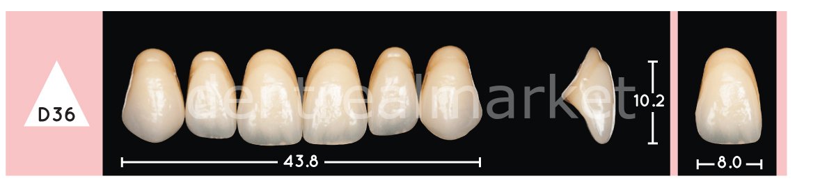 Enigmalife+ Nano Hybrid Kompozit Üst Anterior Diş 6'lık A1 - D36