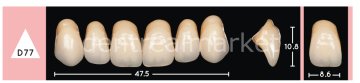 Enigmalife+ Nano Hybrid Kompozit Üst Anterior Diş 6'lık A1 - D77