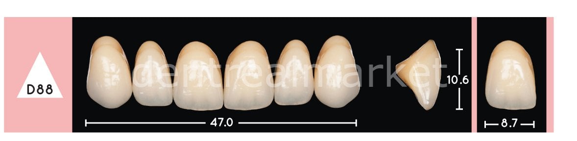 Enigmalife+ Nano Hybrid Kompozit Üst Anterior Diş 6'lık A1 - D88
