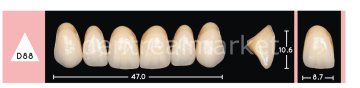 Enigmalife+ Nano Hybrid Kompozit Üst Anterior Diş 6'lık A1 - D88