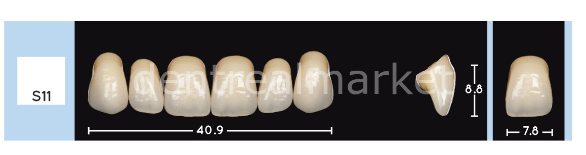 Enigmalife+ Nano Hybrid Kompozit Üst Anterior Diş 6'lık A1 - S11