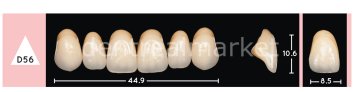 Enigmalife+ Nano Hybrid Kompozit Üst Anterior Diş 6'lık A2 - D56