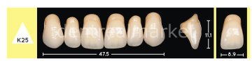 Enigmalife+ Nano Hybrid Kompozit Üst Anterior Diş 6'lık A2 - K25
