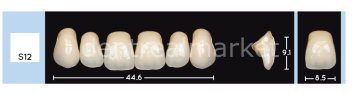 Enigmalife+ Nano Hybrid Kompozit Üst Anterior Diş 6'lık A2 - S12