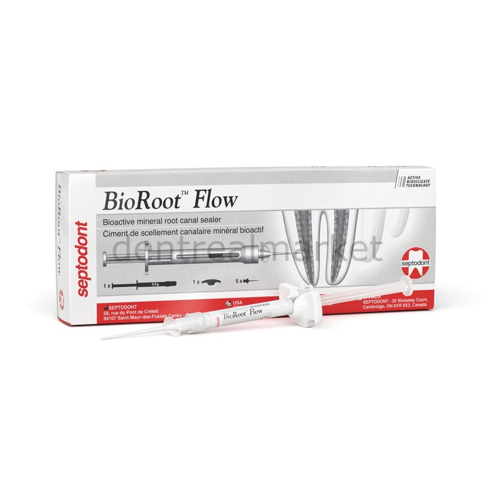 BioRoot Flow Bioseramik Kanal Dolgu Patı - 2 gr