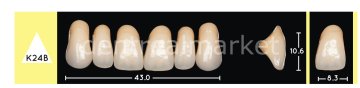 Enigmalife+ Nano Hybrid Kompozit Üst Anterior Diş 6'lık B1 - K24B