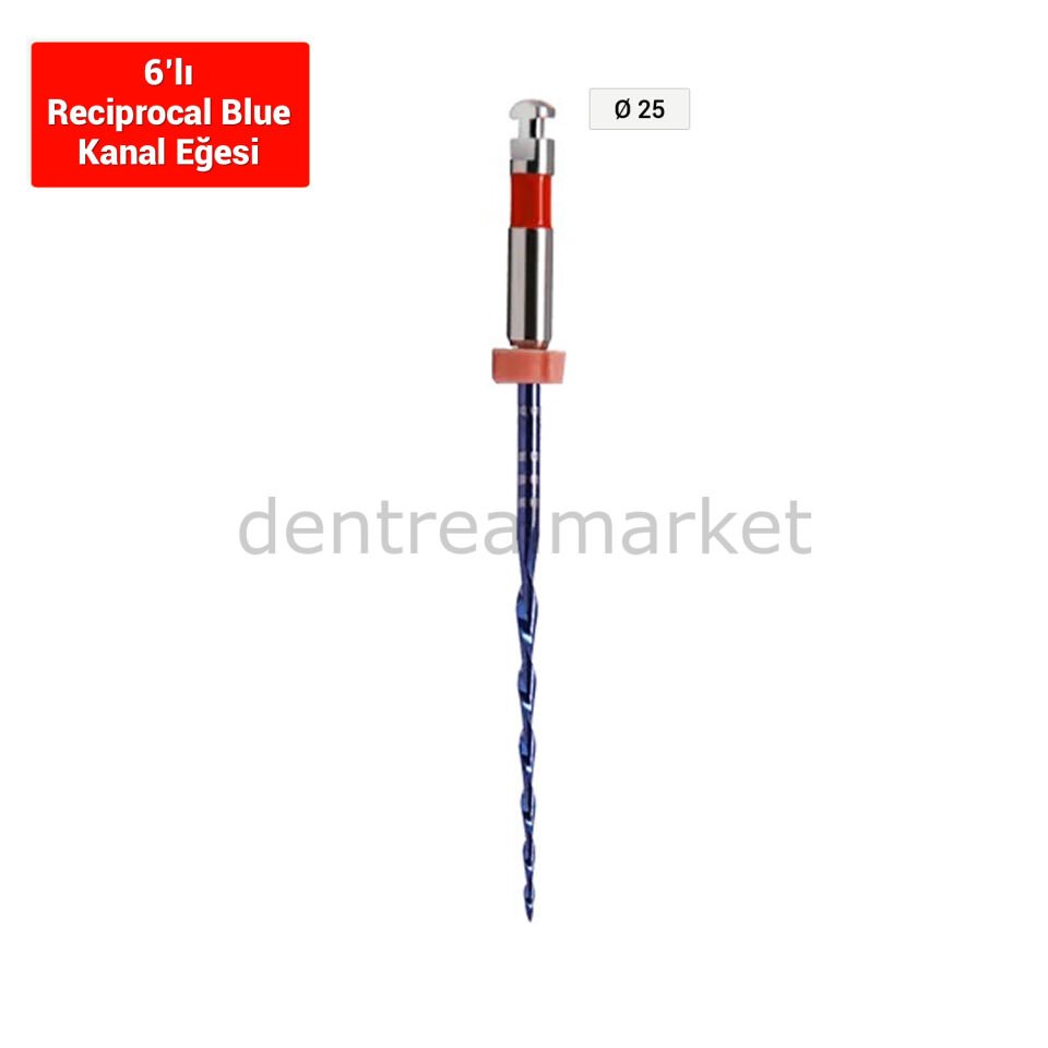 Only One File Reciprocal Blue Kanal Egesi 6'lı *** R25