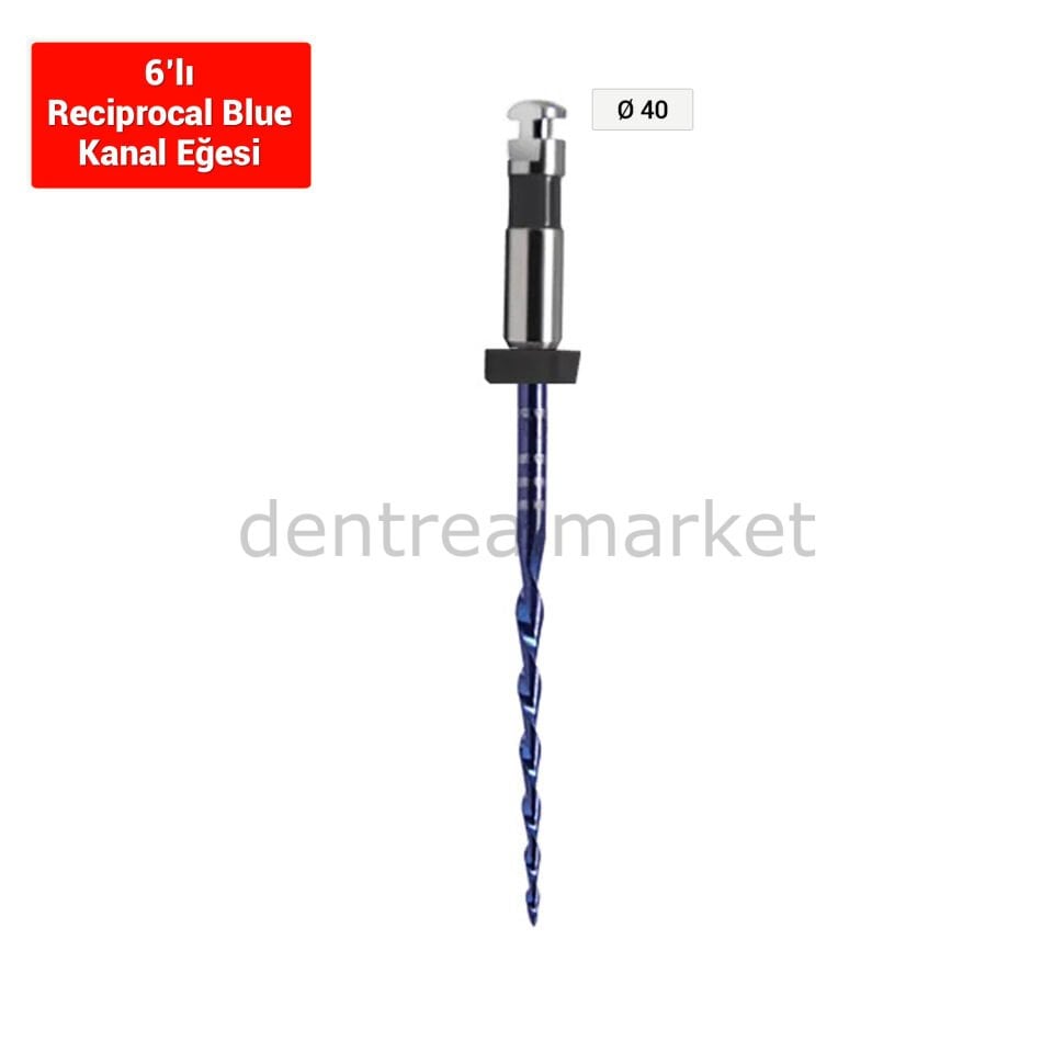 Only One File Reciprocal Blue Kanal Egesi 6'lı *** R40