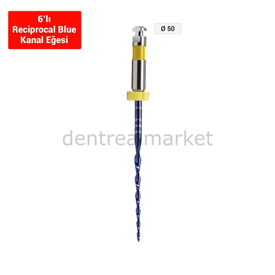 Only One File Reciprocal Blue Kanal Egesi 6'lı *** R50