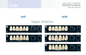 İvostar 3 Katmanlı Akrilik Üst Anterior Diş 6'lık
