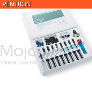 Mojo Lamine  Veneer  Yapıştırma Simanı Seti
