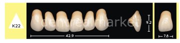 Enigmalife+ Nano Hybrid Kompozit Üst Anterior Diş 6'lık Bleach 1 - K22