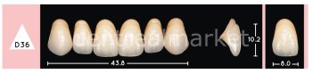 Enigmalife+ Nano Hybrid Kompozit Üst Anterior Diş 6'lık Bleach 3 - D36