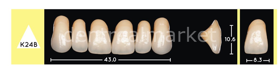 Enigmalife+ Nano Hybrid Kompozit Üst Anterior Diş 6'lık Bleach 3 - K24B
