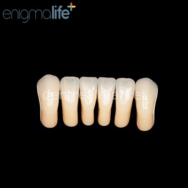 Enigmalife+ Nano Hybrid Kompozit Alt Anterior Diş 6'lık