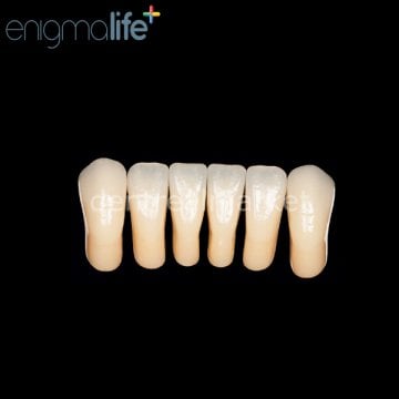 Enigmalife+ Nano Hybrid Kompozit Alt Anterior Diş 6'lık