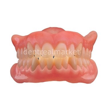 Enigmalife+ Nano Hybrid Kompozit Alt Anterior Diş 6'lık