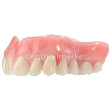 Enigmalife+ Nano Hybrid Kompozit Alt Anterior Diş 6'lık
