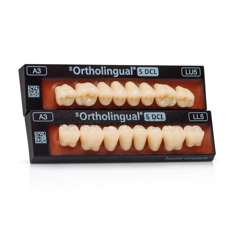 SR Orthotyp S DCL Üst Posterior Diş 8'lik