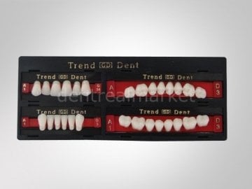 Trend Gd Akrilik Takım Diş 28'lik