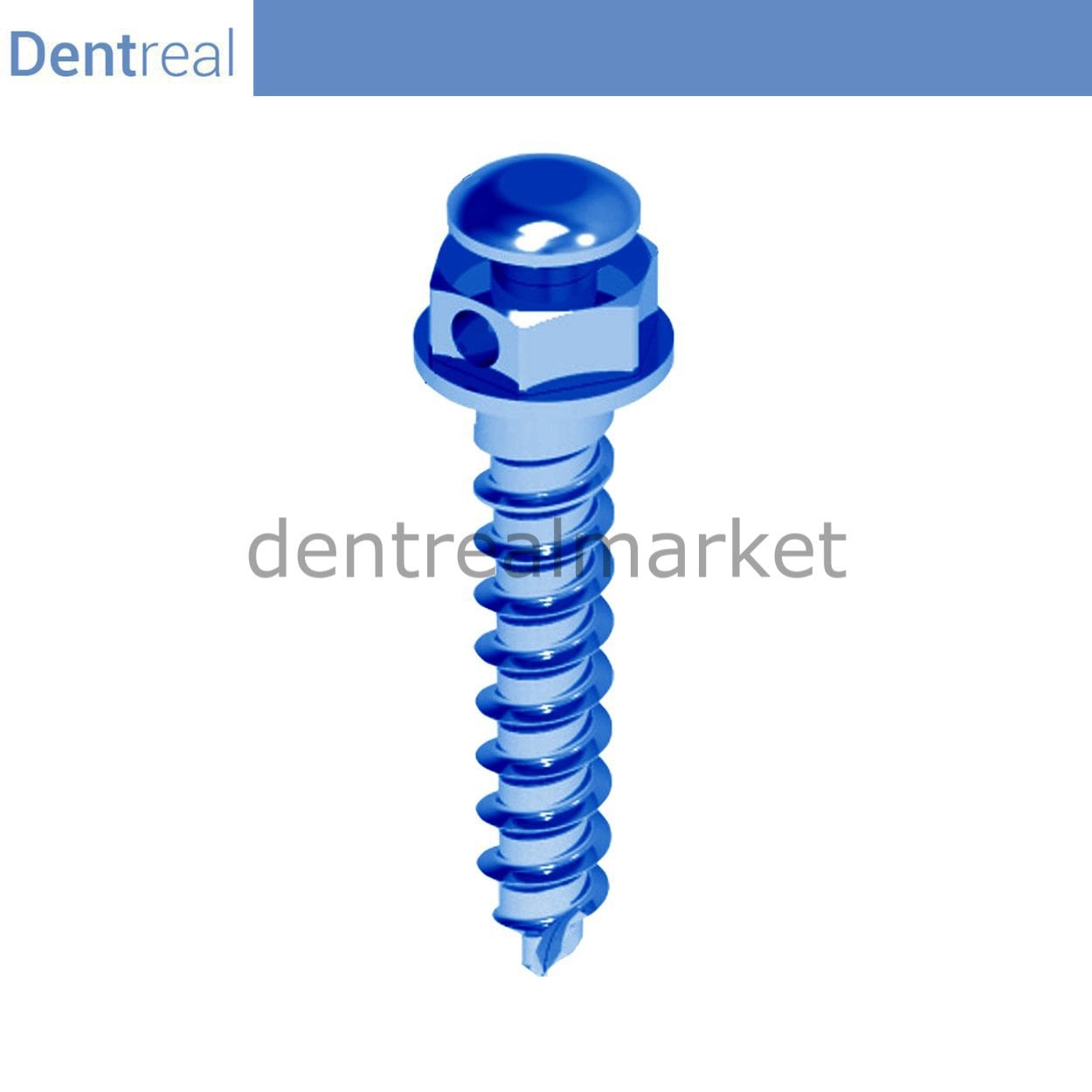 Orthofix Titanyum Orthodontik Mini Vida 1.6 mm Çap - 6 mm
