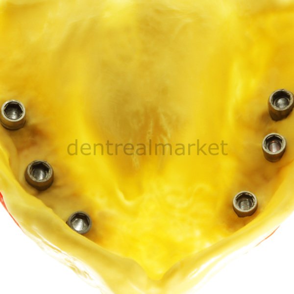 Elite HD+ Maxi Monophase Makine Ölçüsü - Normal Set