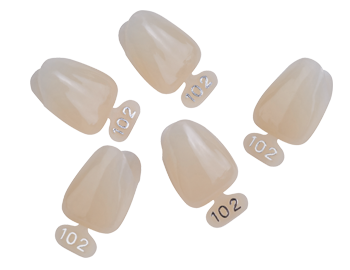 Temprorary Polycarbonate Crown  180 Lik
