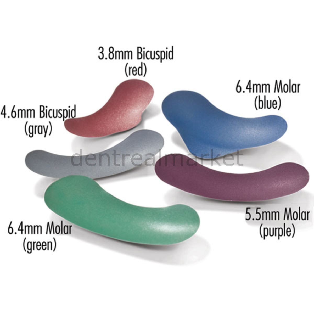 Bicuspid Matris Bandı Refil