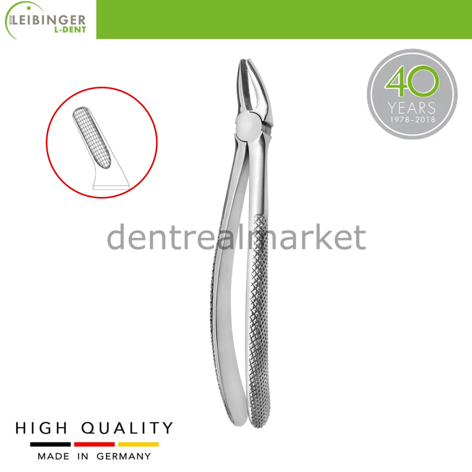 Yetişkin Davye 7 - Üst Kök ve Bicuspid