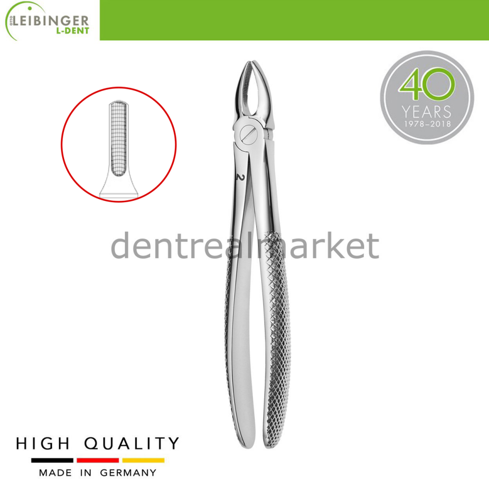 Yetişkin Davye 2 - Üst Premolar