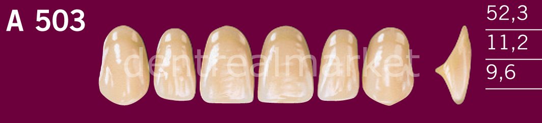 Optodent-Optostar 28lik Takım Diş A3,5 - A 503