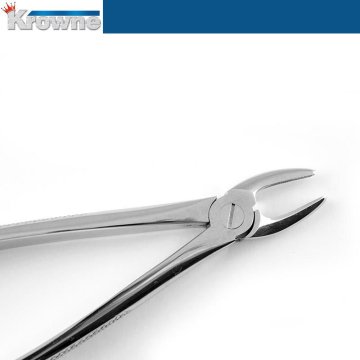 Davye Upper Centrals and Canines - 2R