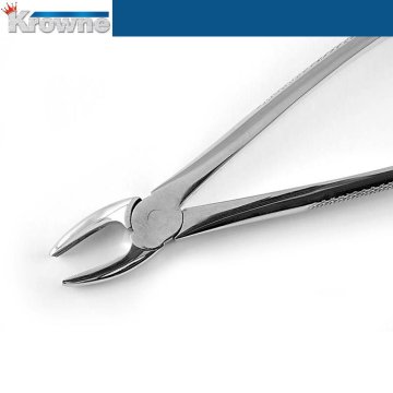 Davye Upper Centrals and Canines - 2R