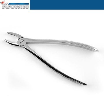 Davye Upper Centrals and Canines - 2R