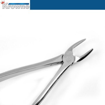 Davye Upper Premolar  - 7