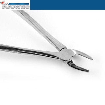 Davye Upper Premolar  - 7